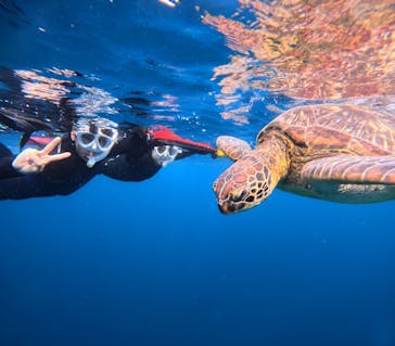  マリンショップHAPPYに投稿された画像（2024/5/12）