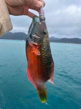 Maze奄美に投稿された画像（2024/5/12）