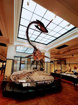 国立科学博物館に投稿された画像（2024/5/12）