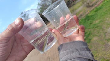 サケのふるさと 千歳水族館に投稿された画像（2024/5/12）