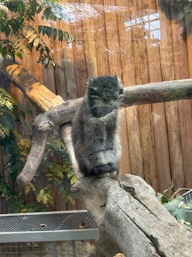 神戸どうぶつ王国に投稿された画像（2024/5/12）