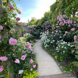 横浜イングリッシュガーデンに投稿された画像（2024/5/12）