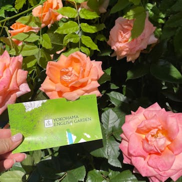 横浜イングリッシュガーデンに投稿された画像（2024/5/12）