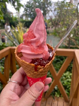 浜名湖花博2024に投稿された画像（2024/5/12）