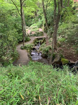 彫刻の森美術館に投稿された画像（2024/5/12）