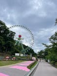 東京サマーランドに投稿された画像（2024/5/12）
