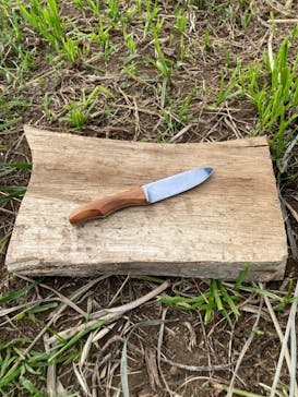 ユギムラ工房に投稿された画像（2024/5/12）