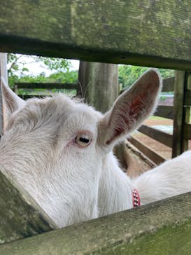 ユギムラ工房に投稿された画像（2024/5/12）