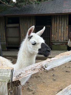 伊豆シャボテン動物公園に投稿された画像（2024/5/12）