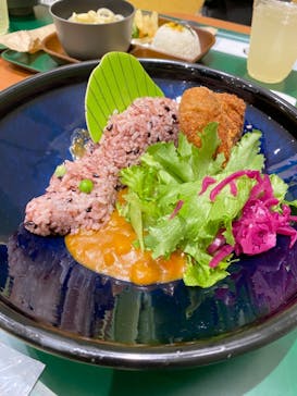 福井県立恐竜博物館に投稿された画像（2024/5/12）