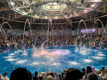 マクセル アクアパーク品川に投稿された画像（2024/5/12）