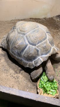 マクセル アクアパーク品川に投稿された画像（2024/5/12）