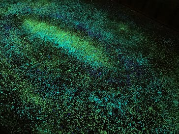 梅田スカイビル・空中庭園展望台に投稿された画像（2024/5/12）