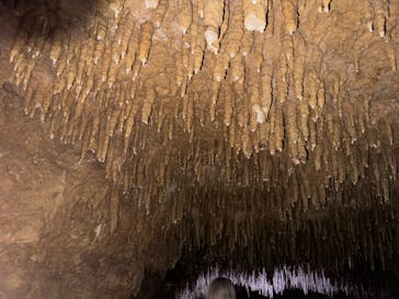 おきなわワールドに投稿された画像（2024/5/12）