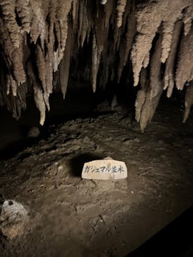 おきなわワールドに投稿された画像（2024/5/12）