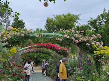 浜名湖花博2024に投稿された画像（2024/5/12）