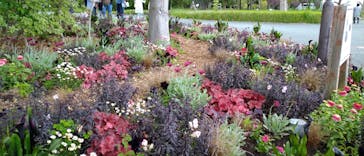 浜名湖花博2024に投稿された画像（2024/5/12）