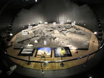 福井県立恐竜博物館に投稿された画像（2024/5/12）