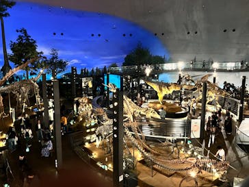 福井県立恐竜博物館に投稿された画像（2024/5/12）