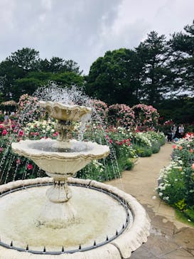 浜名湖花博2024に投稿された画像（2024/5/12）