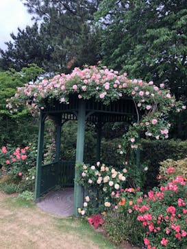 浜名湖花博2024に投稿された画像（2024/5/12）