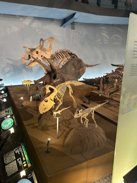 福井県立恐竜博物館に投稿された画像（2024/5/12）