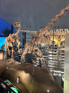 福井県立恐竜博物館に投稿された画像（2024/5/12）