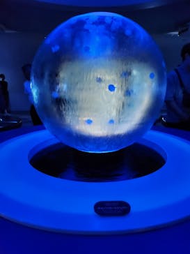 新江ノ島水族館に投稿された画像（2024/5/12）