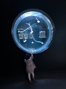 AOAO SAPPOROに投稿された画像（2024/5/12）