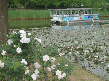 浜名湖花博2024に投稿された画像（2024/5/13）