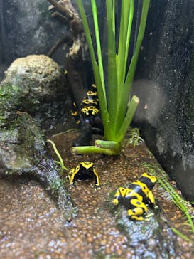 仙台うみの杜水族館に投稿された画像（2024/5/13）