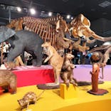 特別展「大哺乳類展３－わけてつなげて大行進」に投稿された画像（2024/5/13）