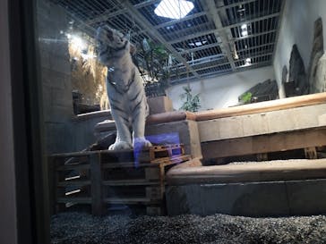 NIFREL（ニフレル）に投稿された画像（2024/5/13）