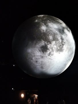 NIFREL（ニフレル）に投稿された画像（2024/5/13）