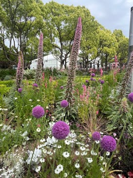 浜名湖花博2024に投稿された画像（2024/5/13）