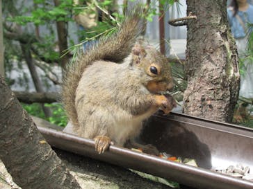 那須どうぶつ王国に投稿された画像（2024/5/13）
