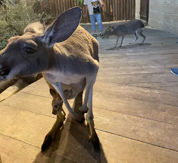 ひらかたパークに投稿された画像（2024/5/13）