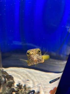 NIFREL（ニフレル）に投稿された画像（2024/5/13）