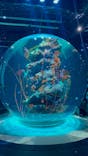 AQUARIUM × ART　atoaに投稿された画像（2024/5/13）