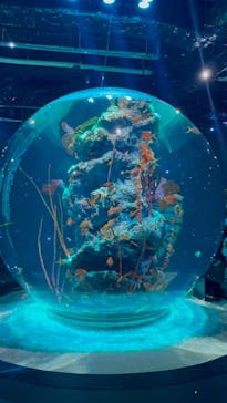 AQUARIUM × ART　atoaに投稿された画像（2024/5/13）