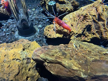 AQUARIUM × ART　atoaに投稿された画像（2024/5/13）