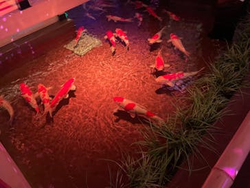 AQUARIUM × ART　atoaに投稿された画像（2024/5/13）