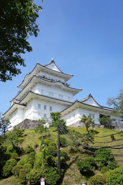 小田原城に投稿された画像（2024/5/13）