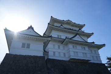 小田原城に投稿された画像（2024/5/13）