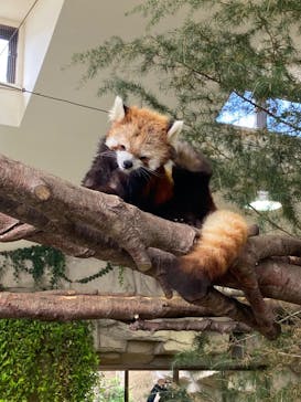 那須どうぶつ王国に投稿された画像（2024/5/13）