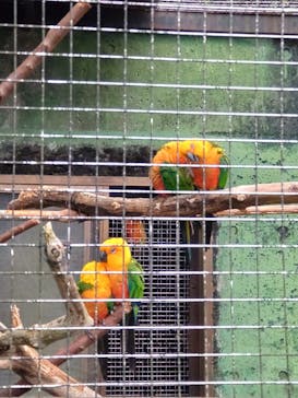 伊豆シャボテン動物公園に投稿された画像（2024/5/13）