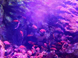 仙台うみの杜水族館に投稿された画像（2024/5/13）