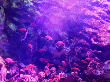 仙台うみの杜水族館に投稿された画像（2024/5/13）