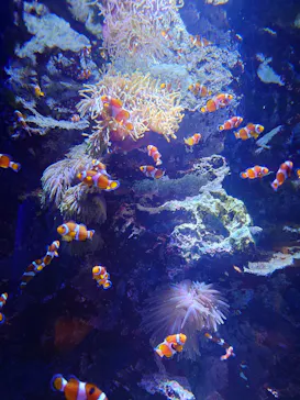 仙台うみの杜水族館に投稿された画像（2024/5/13）