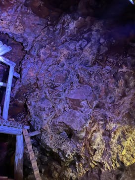 土肥金山に投稿された画像（2024/5/13）